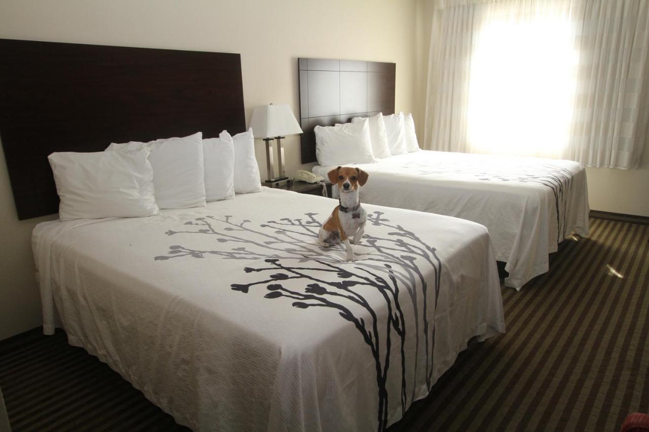 Bowman Inn And Suites Buitenkant foto